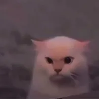 original sound - mirna__khalil