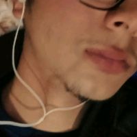 hasn_falin