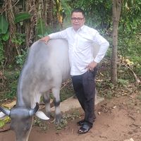 original sound - សំណាងល្អទិញលក់រថយន្ត
