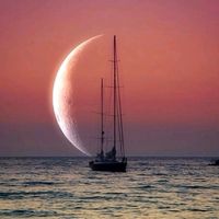umar_77778