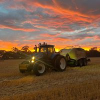 halseyfarms