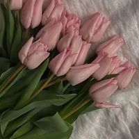 503_february
