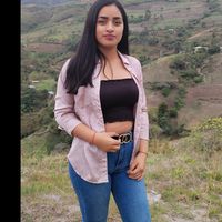 vane_2519_