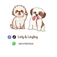 linlylingling0