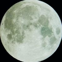 オリジナル楽曲 - せじゅ顔