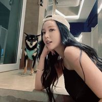 suara asli - Hong vely didi
