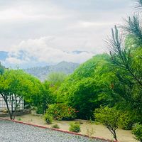 hamadshinwari92