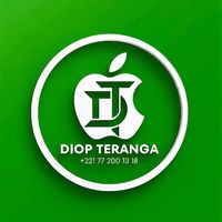 diop_teranga_business6