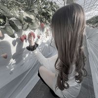 rr__61o4