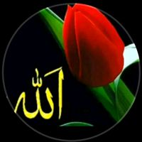 cennet_gulum__