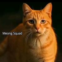 suara asli - Meong Squad