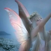 diana08528