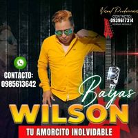wilson1997bayas