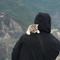 оригинальный звук