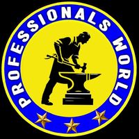 professionals_world_01