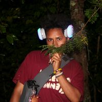 original sound