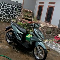 vataleta.02