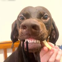 whatthegooof