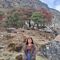 kalpanapanchkoti562