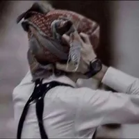 ابن الضالع