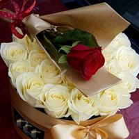 rozmeen3