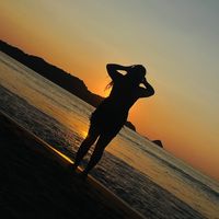 ___vle