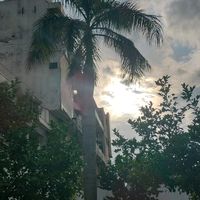 pakii_358