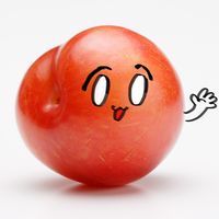 sumomo8886
