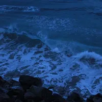 صدقة لكل مسلم .