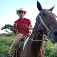 delfido.gutierrez