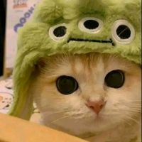 nxt__rabina0
