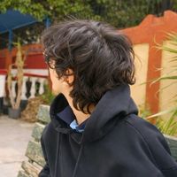 الصوت الأصلي