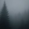 msouzayx_