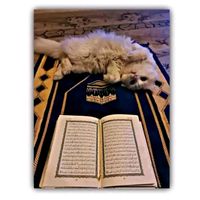 ser__khlase__mazar__001