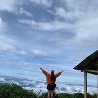 vyvy_169213