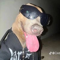 _erez_1