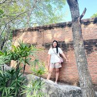 far_pantiwa