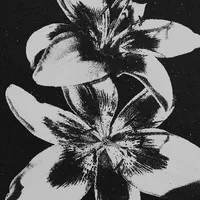 original sound - edfev3r