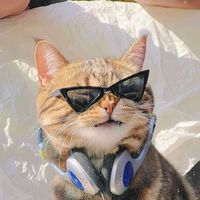 suara asli - ARSYILMODESAD★