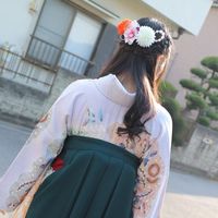 shodo_seiho
