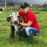 julianhurtado806
