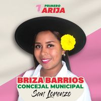 brizabarrios