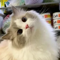 original sound - astitwo7