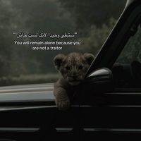 en86.com