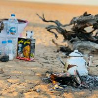 الصوت الأصلي