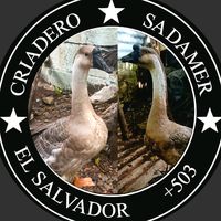 rudy.sadamer.alva