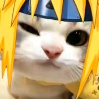 urboyshin2