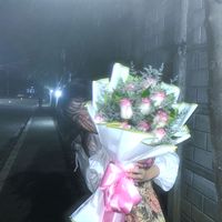 shaneb_vera
