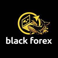 blackforex6