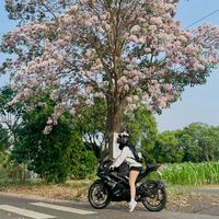 nhạc nền - Ú nè🥰😘